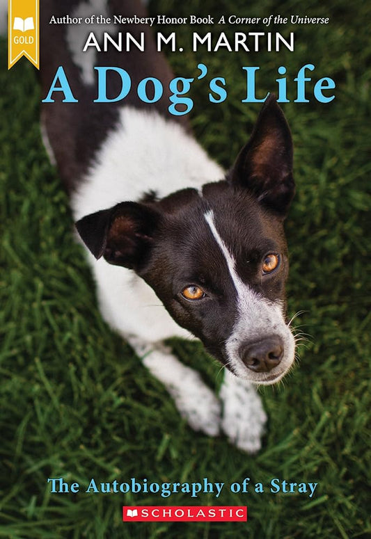 A Dog's Life: The Autobiography of a Stray (Scholastic Gold) cover image