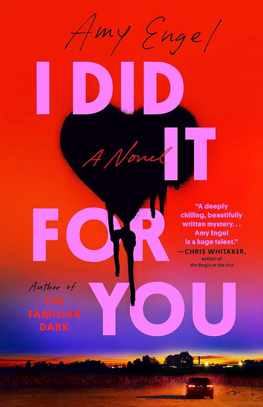 I Did It For You: A Novel cover image