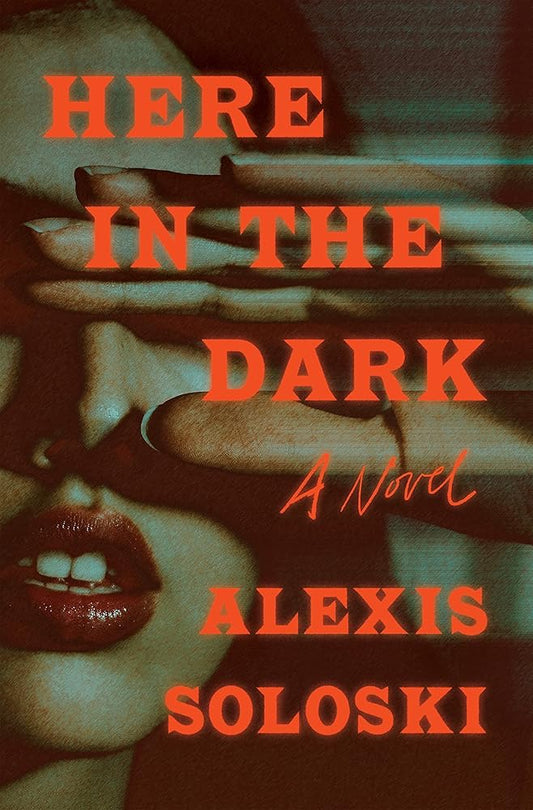Here in the Dark: A Novel cover image