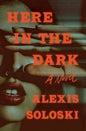 Here in the Dark: A Novel cover image